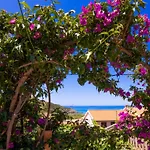 Le Nassi Apartman